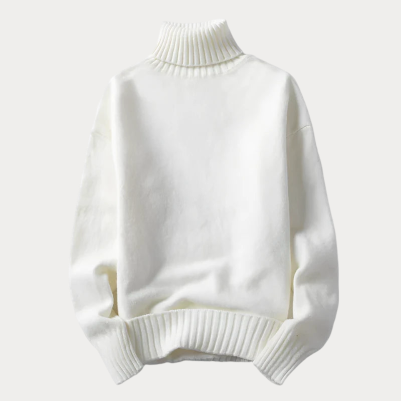 Jovan | Pull à col roulé Homme