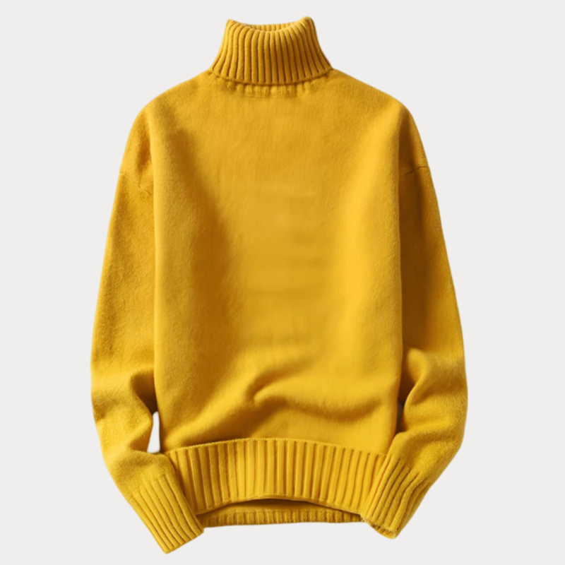 Jovan | Pull à col roulé Homme